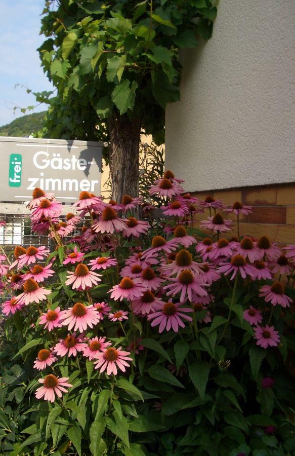 Gaestehaus Weberskirch 에른스트 외부 사진
